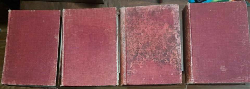 Vintage 1908 An Illustrated History of English Literature Volumes I-IV