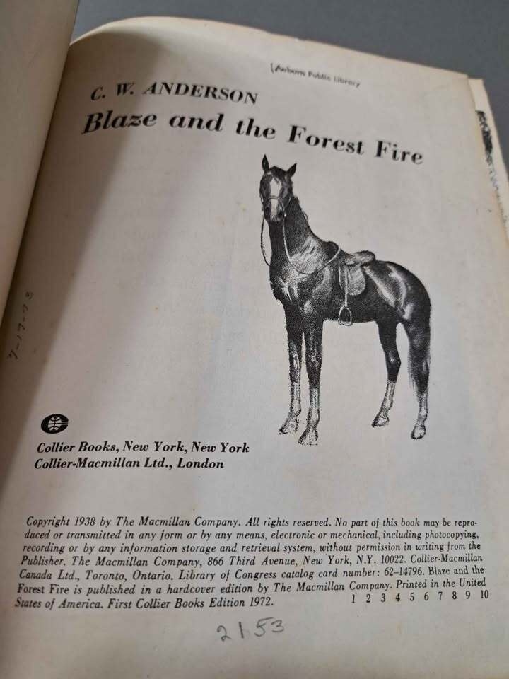 Vintage 1972 edition of Blaze and the Forest Fire