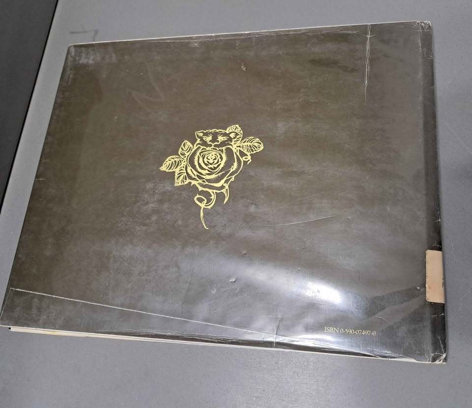 Vintage 1978 Beauty and the Beast hardcover / hardcover