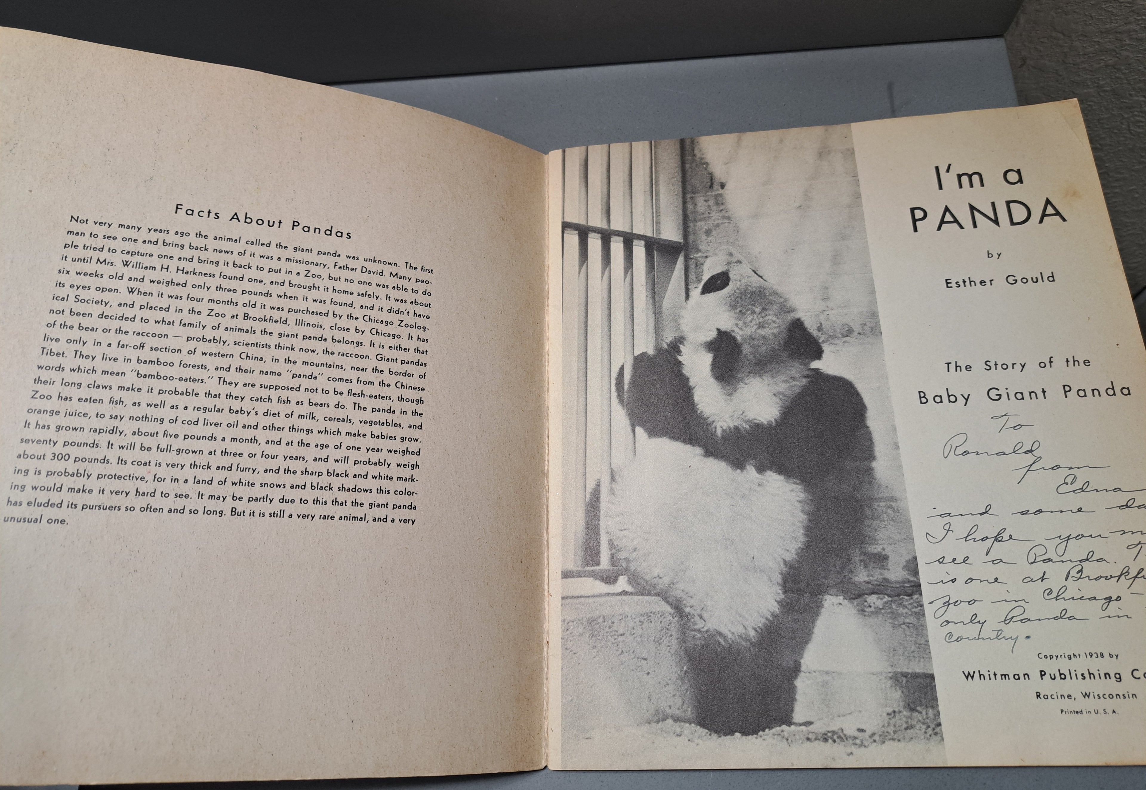 Vintage 1938 I'm a Panda: The Story of the Baby Giant Panda by Esther Gould
