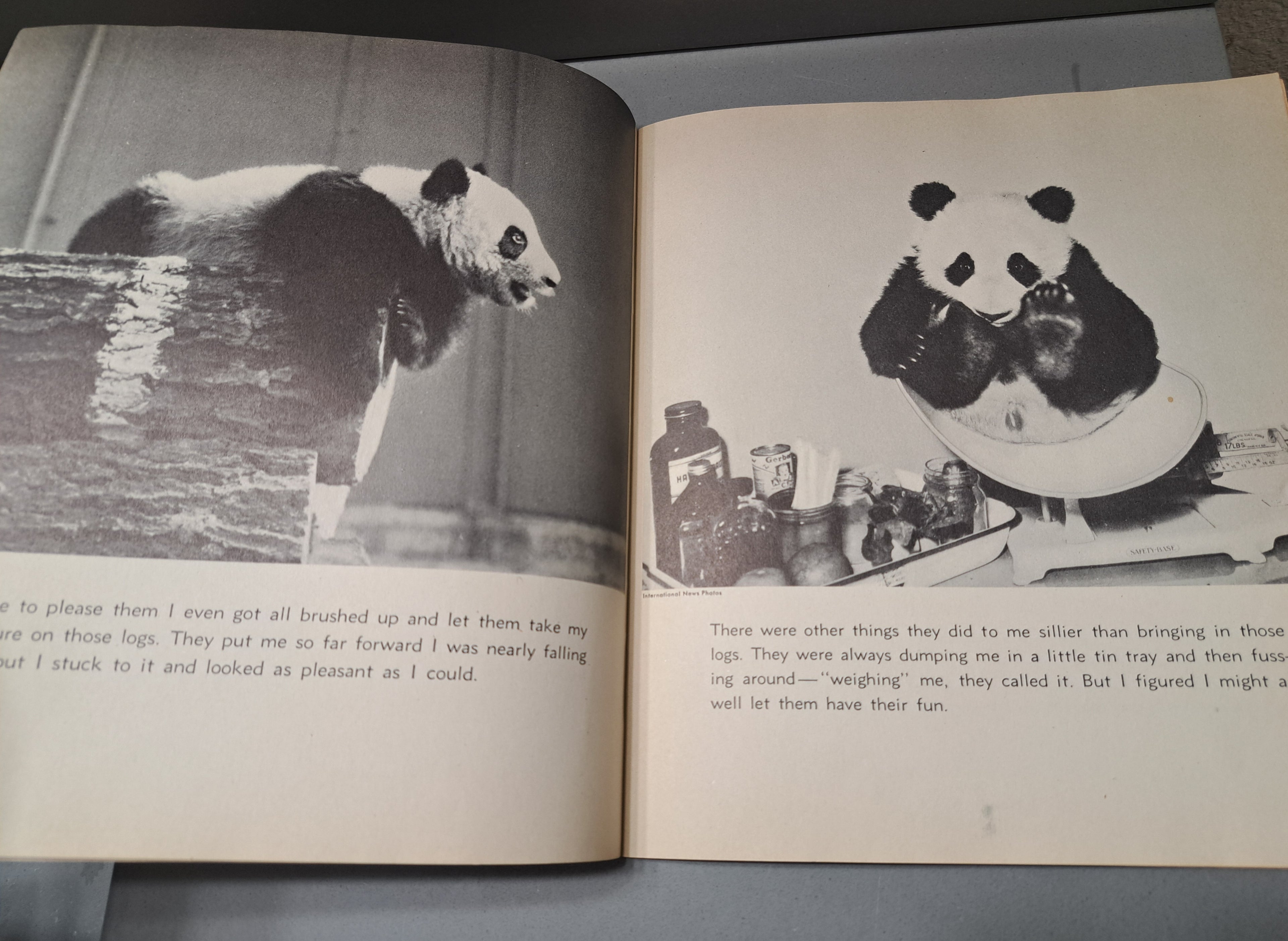Vintage 1938 I'm a Panda: The Story of the Baby Giant Panda by Esther Gould