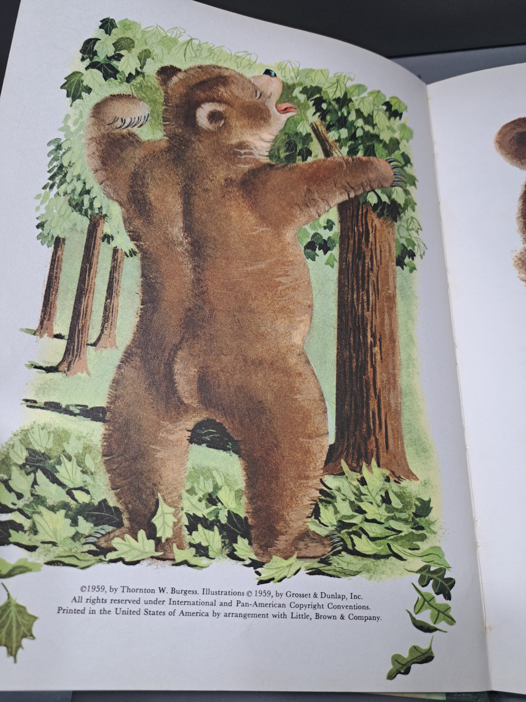 Vintage 1959 Bedtime Stories by Thornton W Burgess