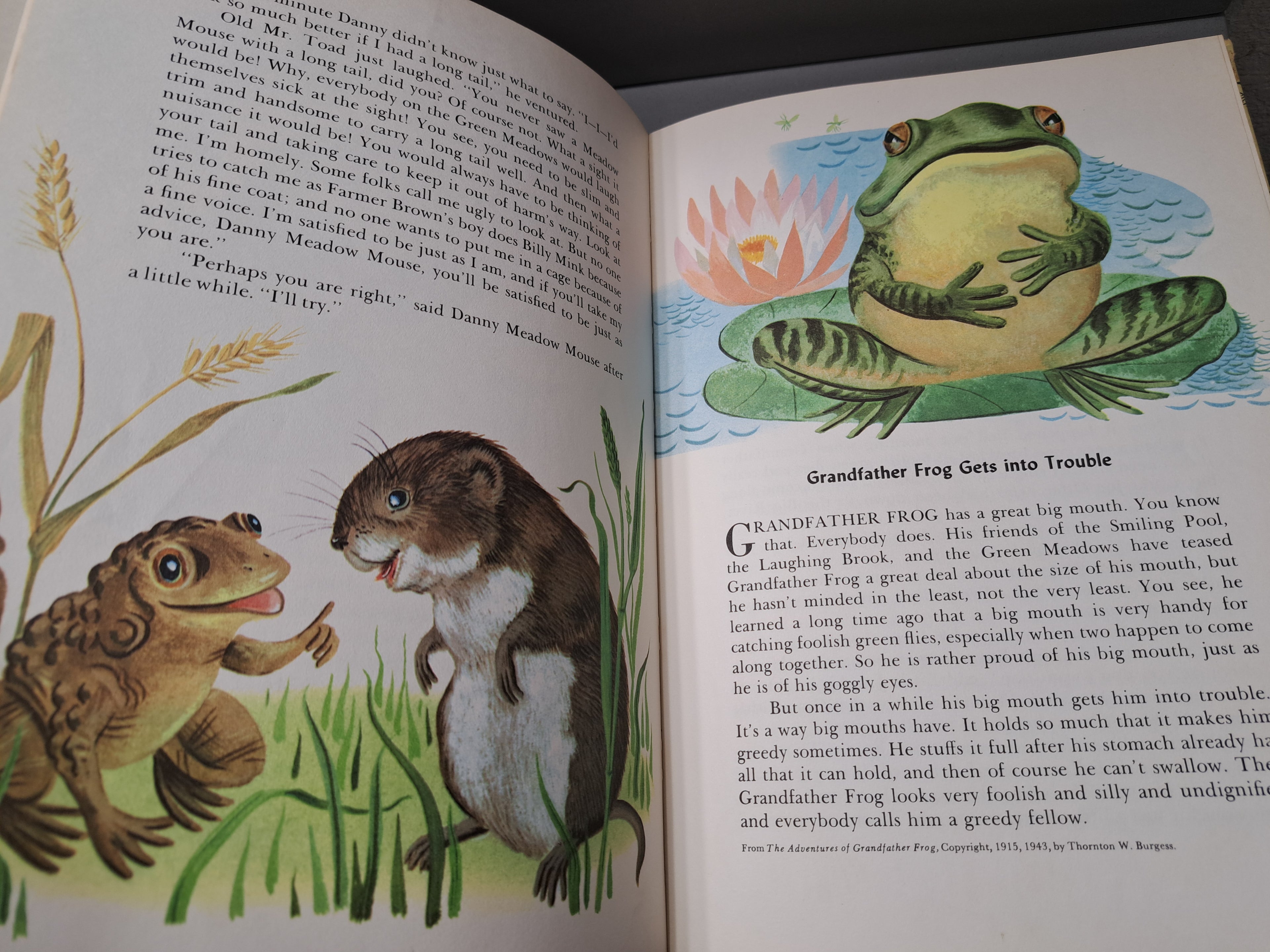 Vintage 1959 Bedtime Stories by Thornton W Burgess