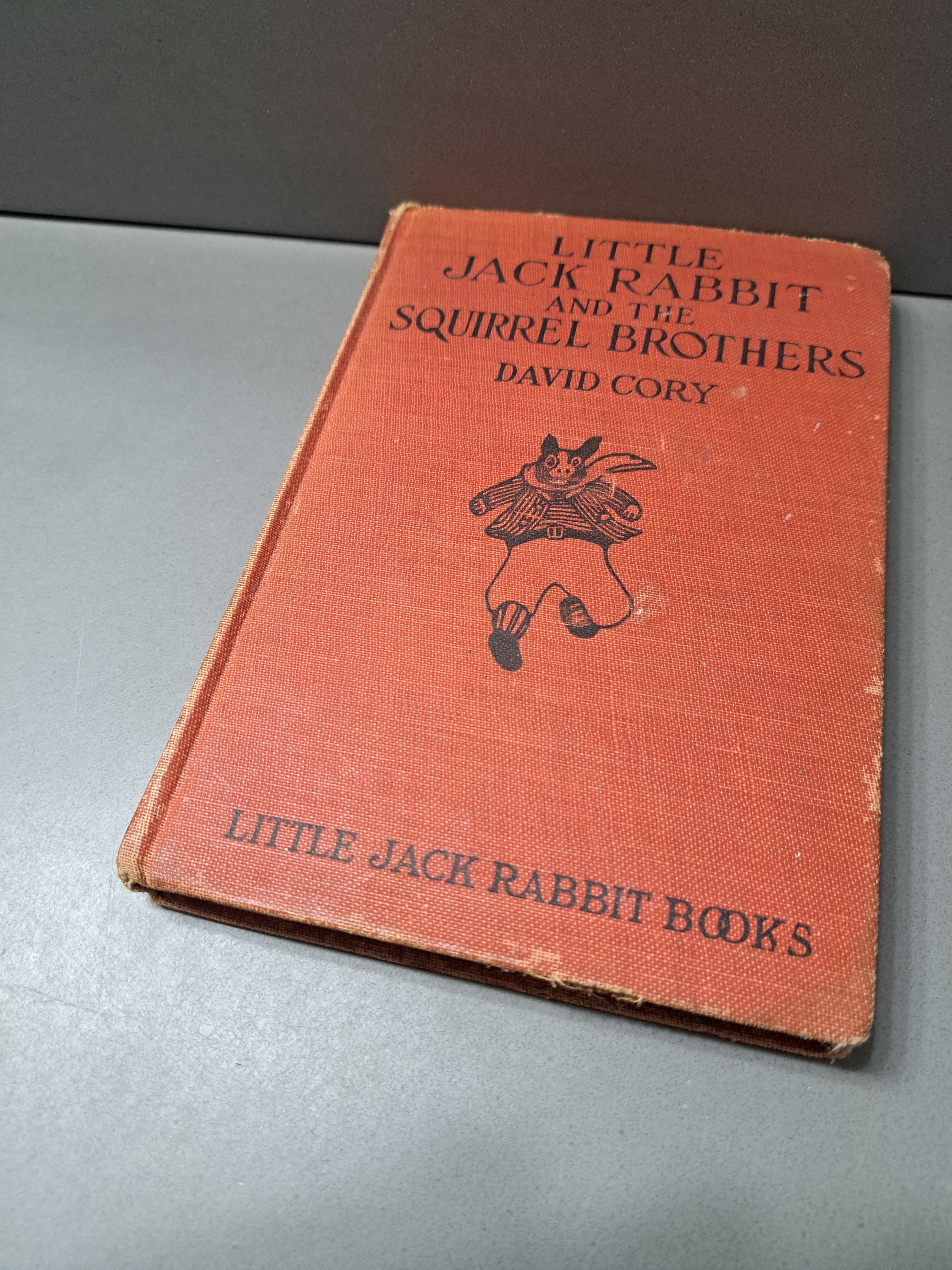 Vintage 1921 Little Jack Rabbit and the Squirrel Brothers by David Cory