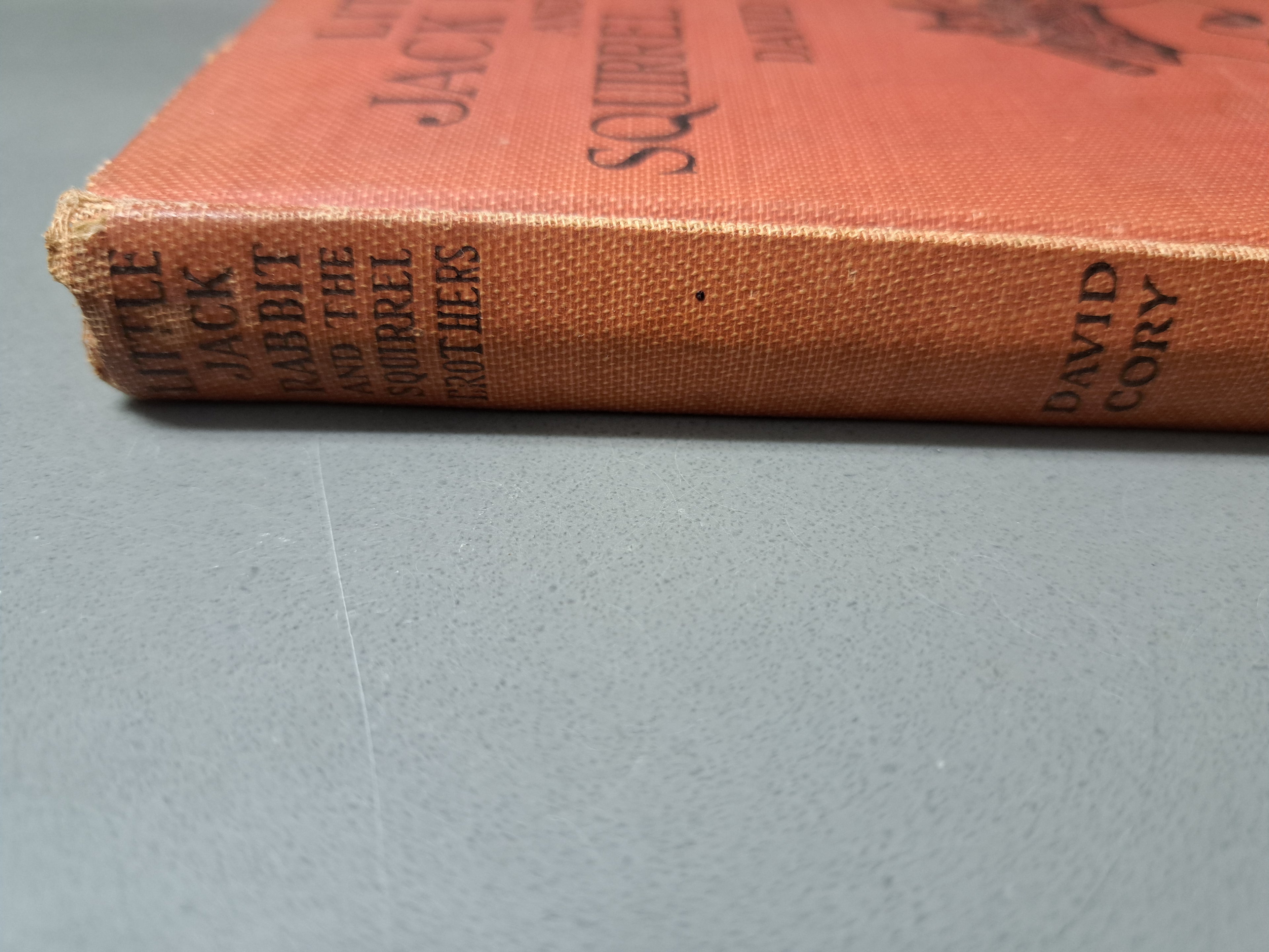 Vintage 1921 Little Jack Rabbit and the Squirrel Brothers by David Cory