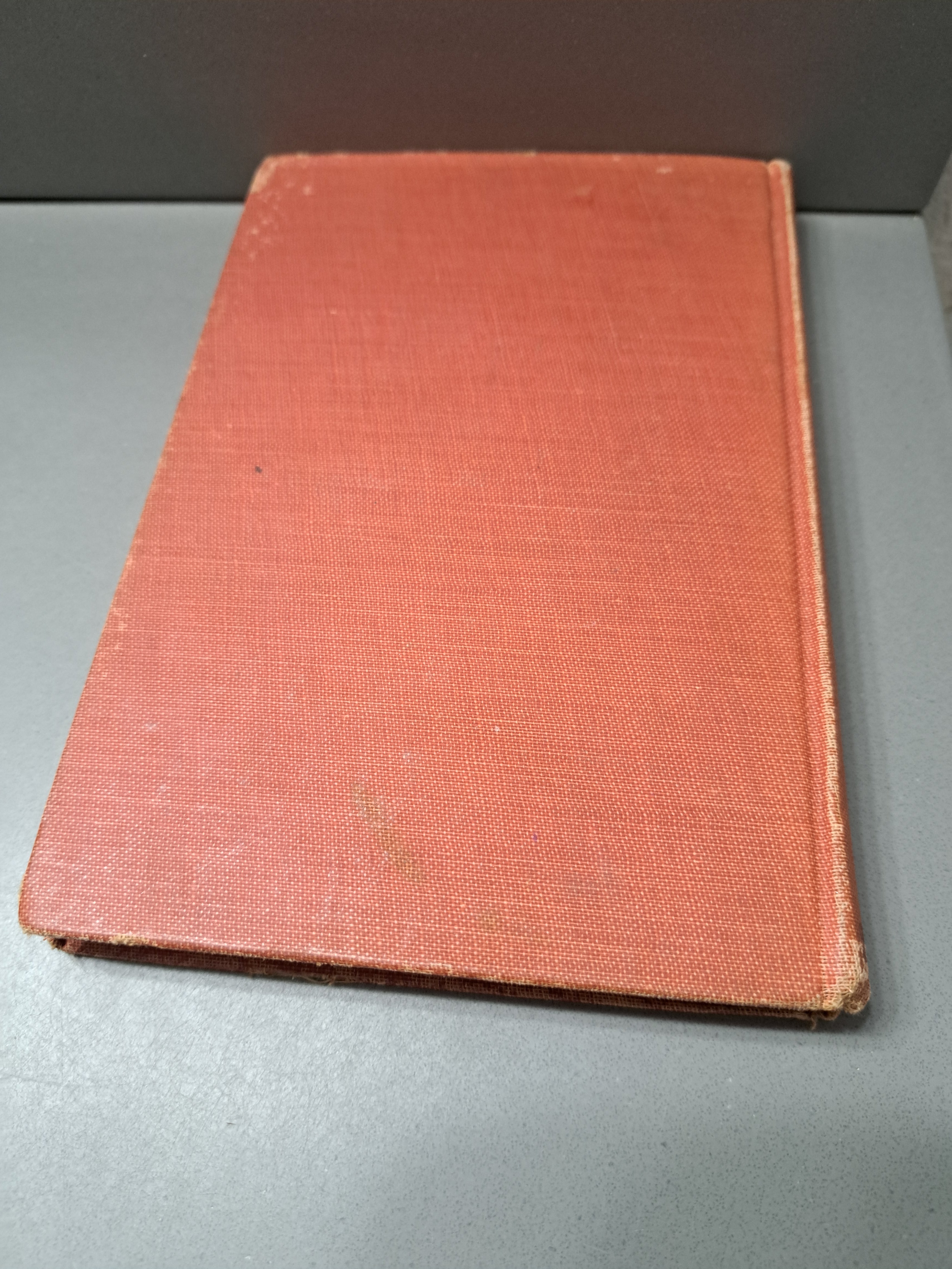 Vintage 1921 Little Jack Rabbit and the Squirrel Brothers by David Cory
