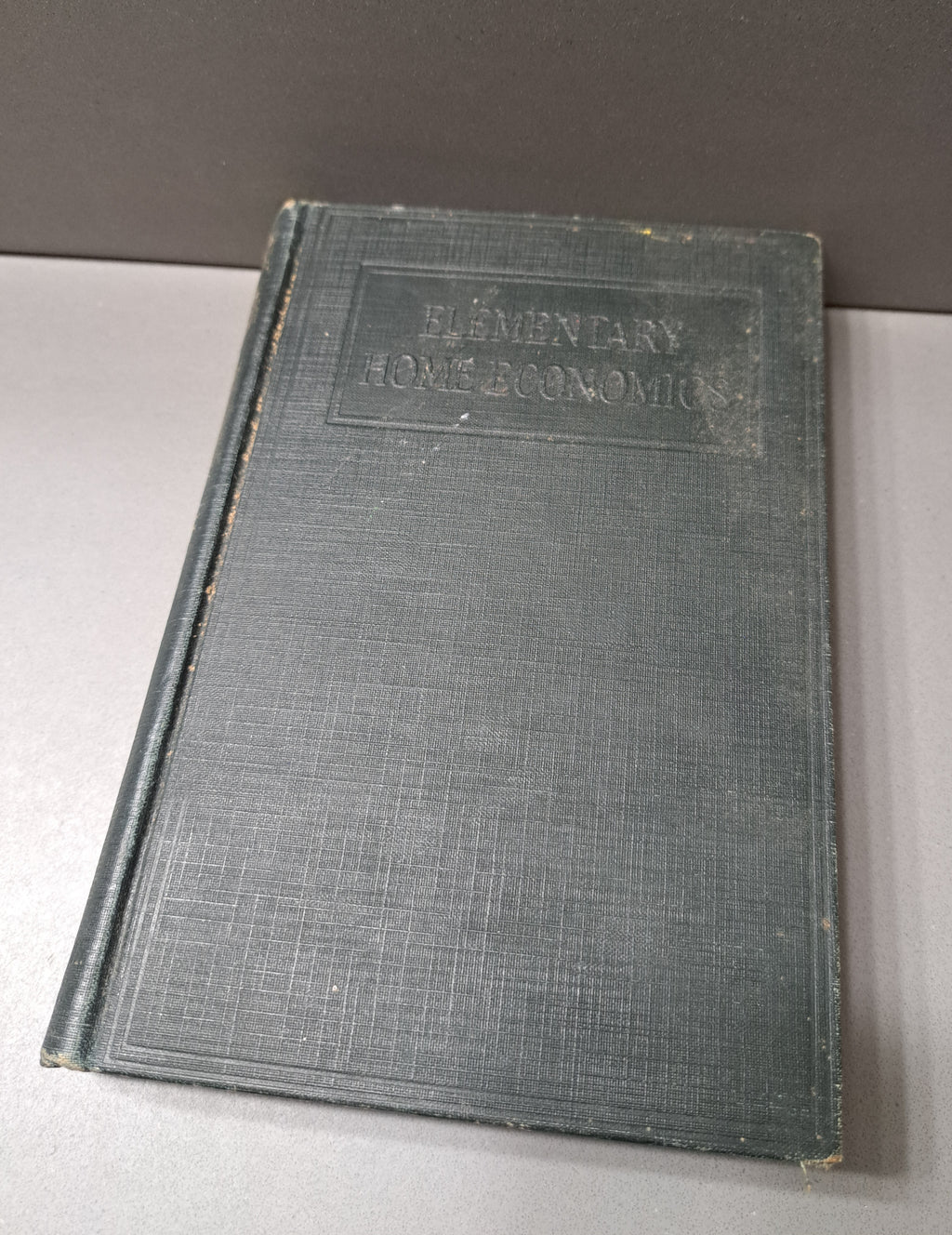 Vintage 1926 Elementary Home Economics by Mary Lockwood Matthews
