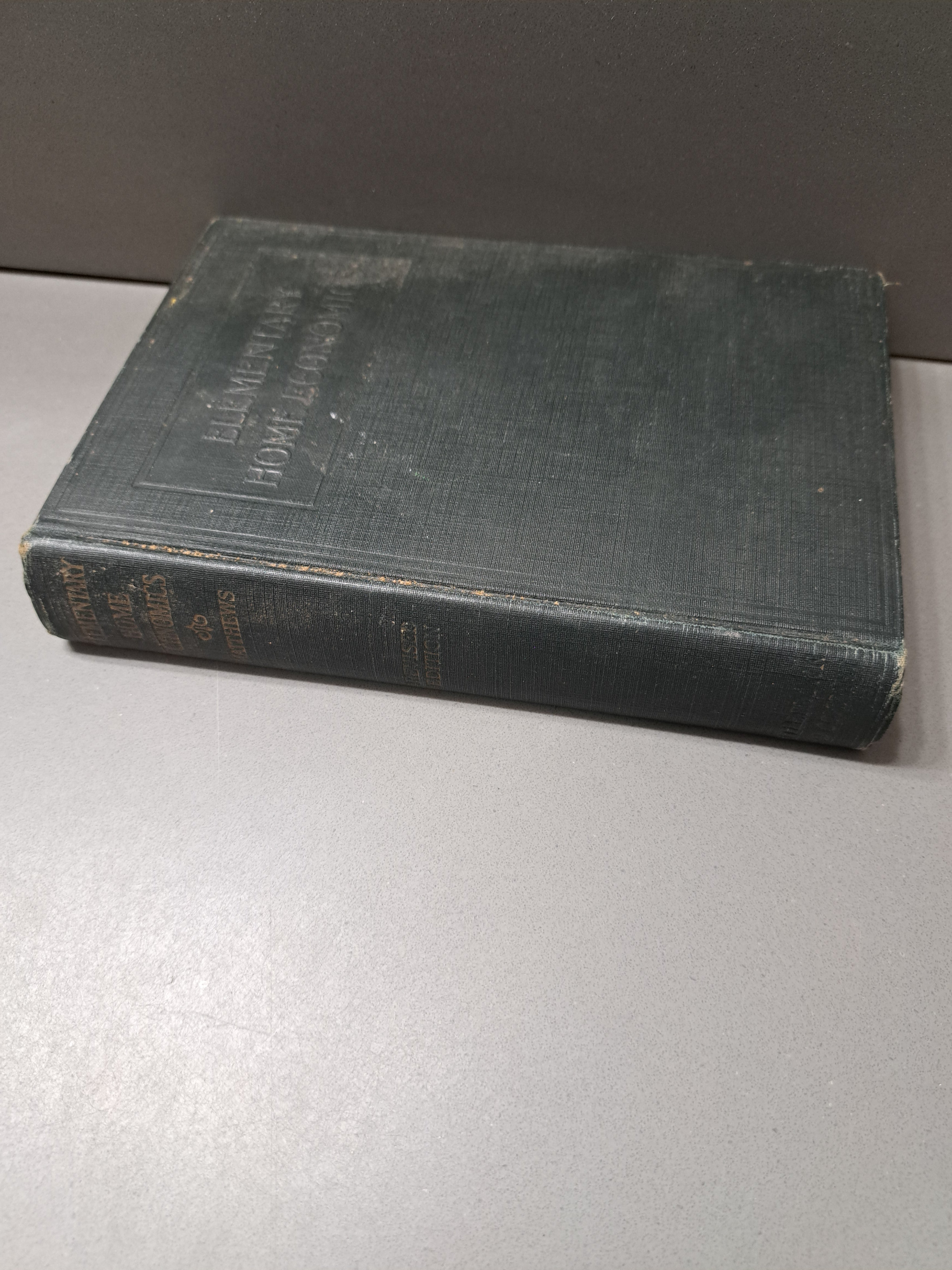 Vintage 1926 Elementary Home Economics by Mary Lockwood Matthews