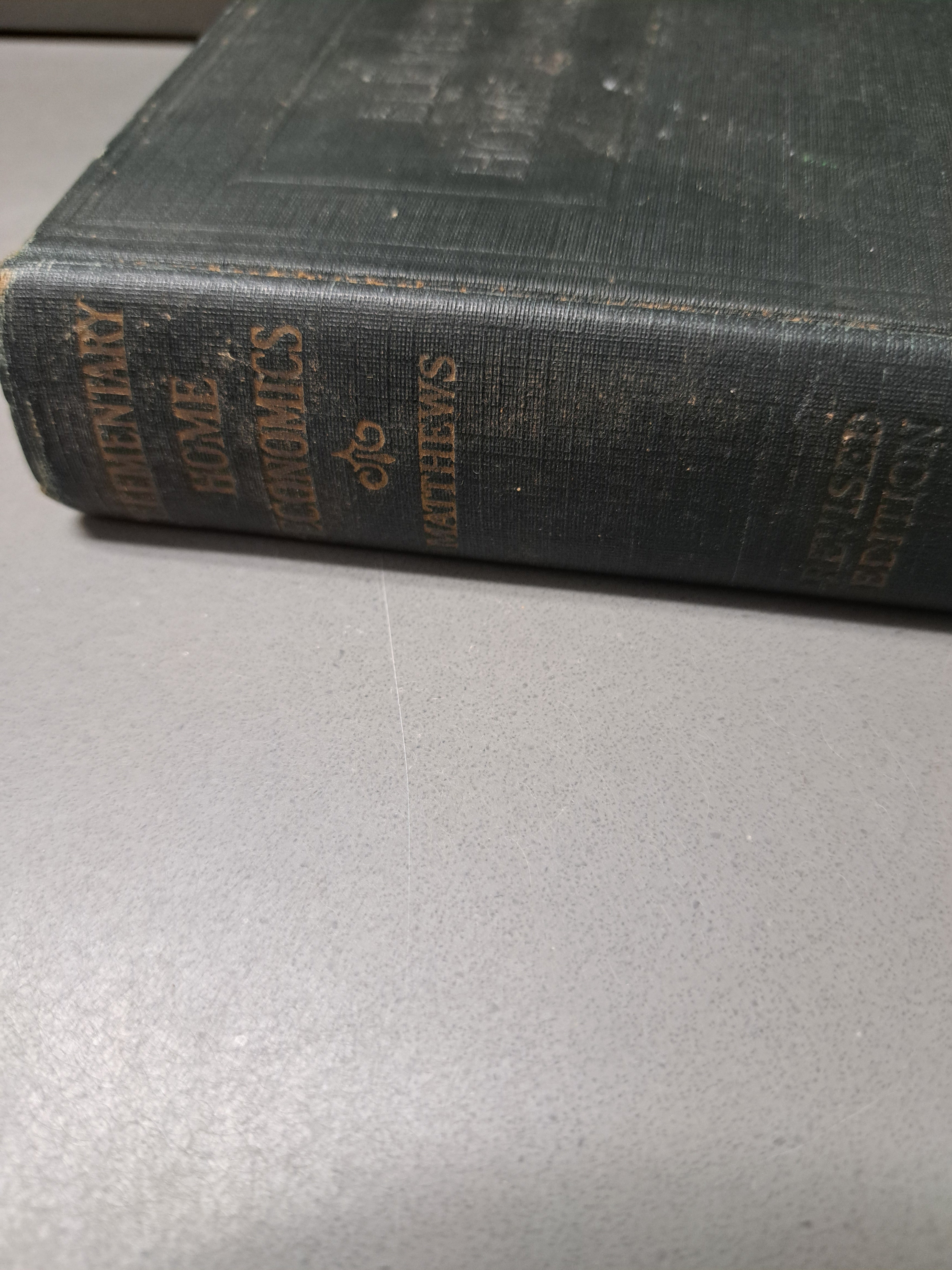 Vintage 1926 Elementary Home Economics by Mary Lockwood Matthews