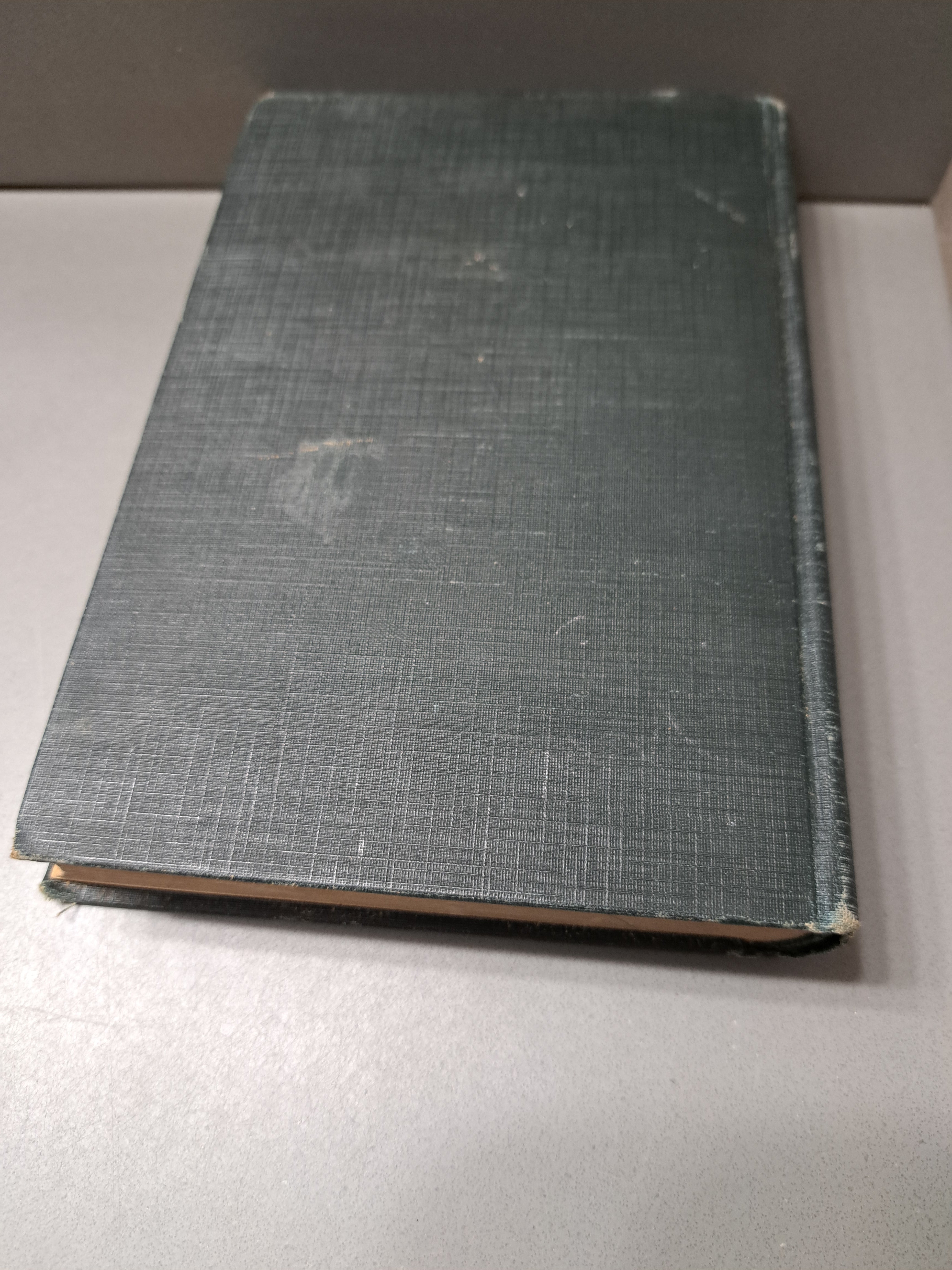 Vintage 1926 Elementary Home Economics by Mary Lockwood Matthews