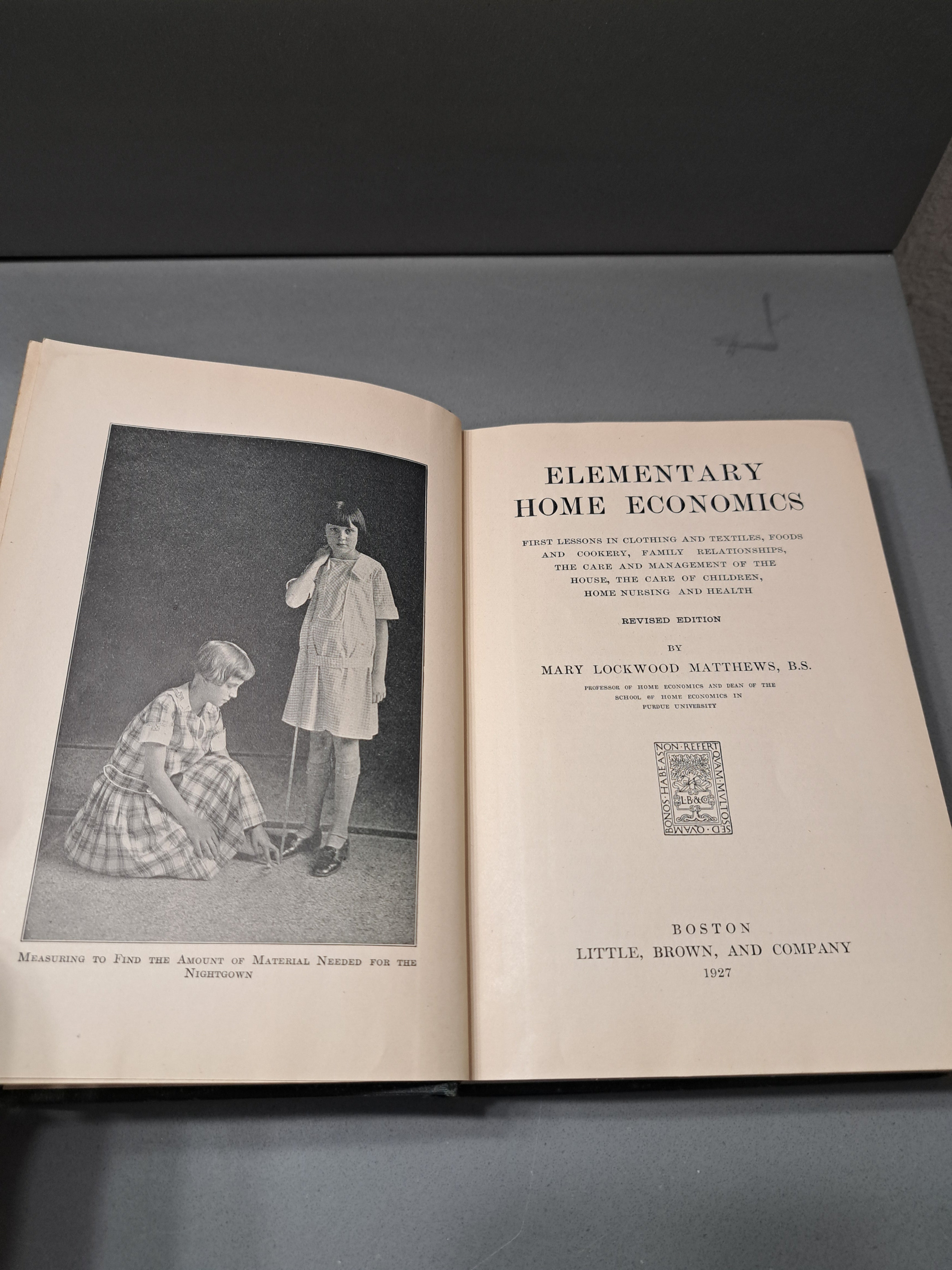Vintage 1926 Elementary Home Economics by Mary Lockwood Matthews