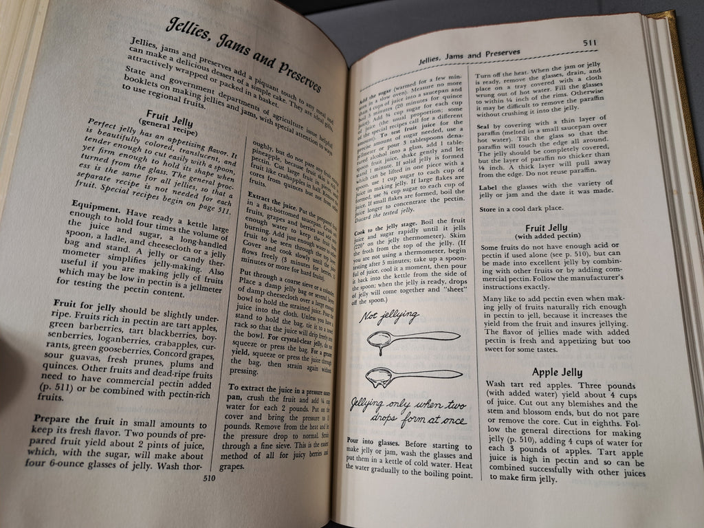 Vintage 1965 The Fannie Farmer cookbook