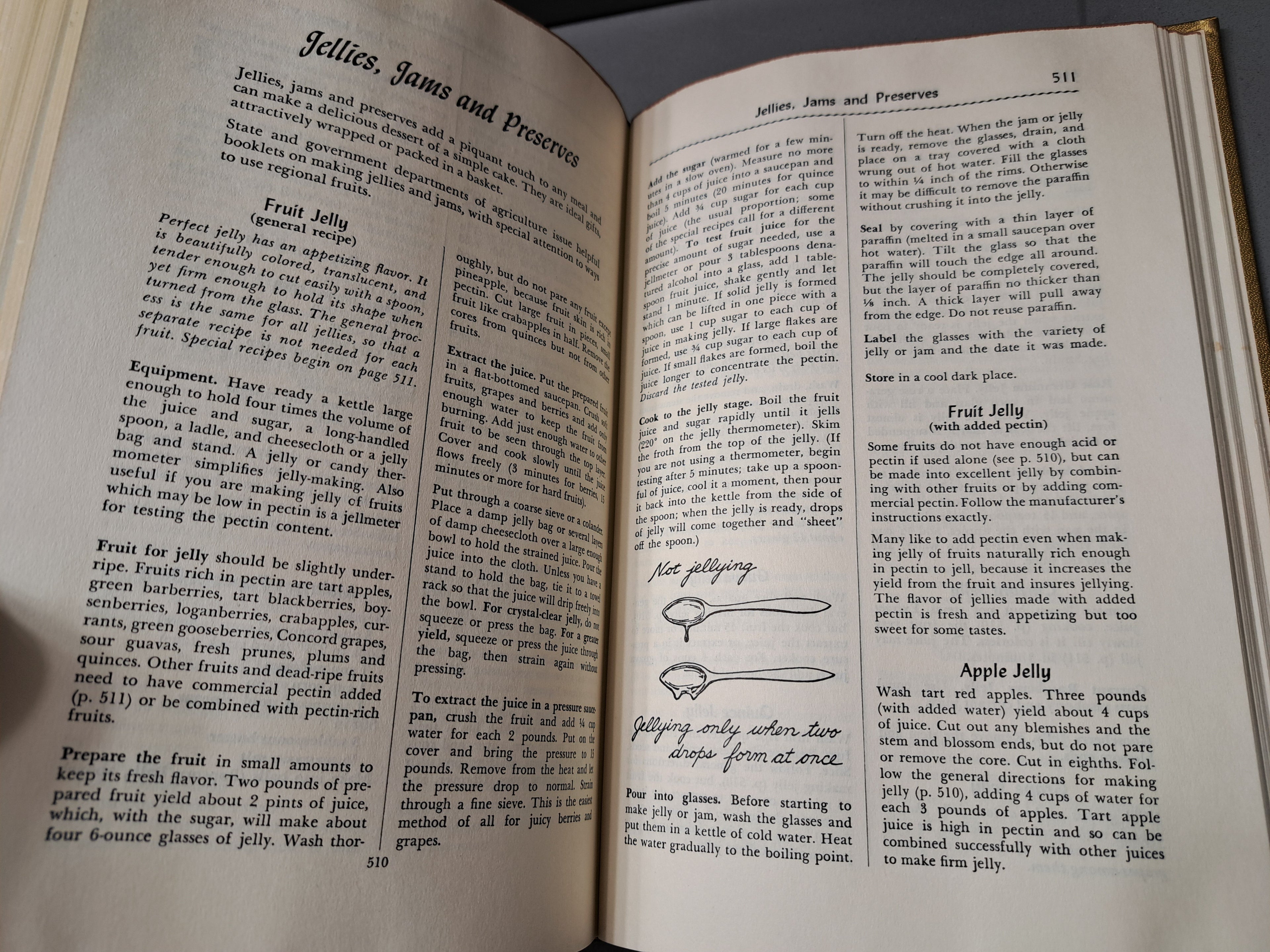 Vintage 1965 The Fannie Farmer cookbook