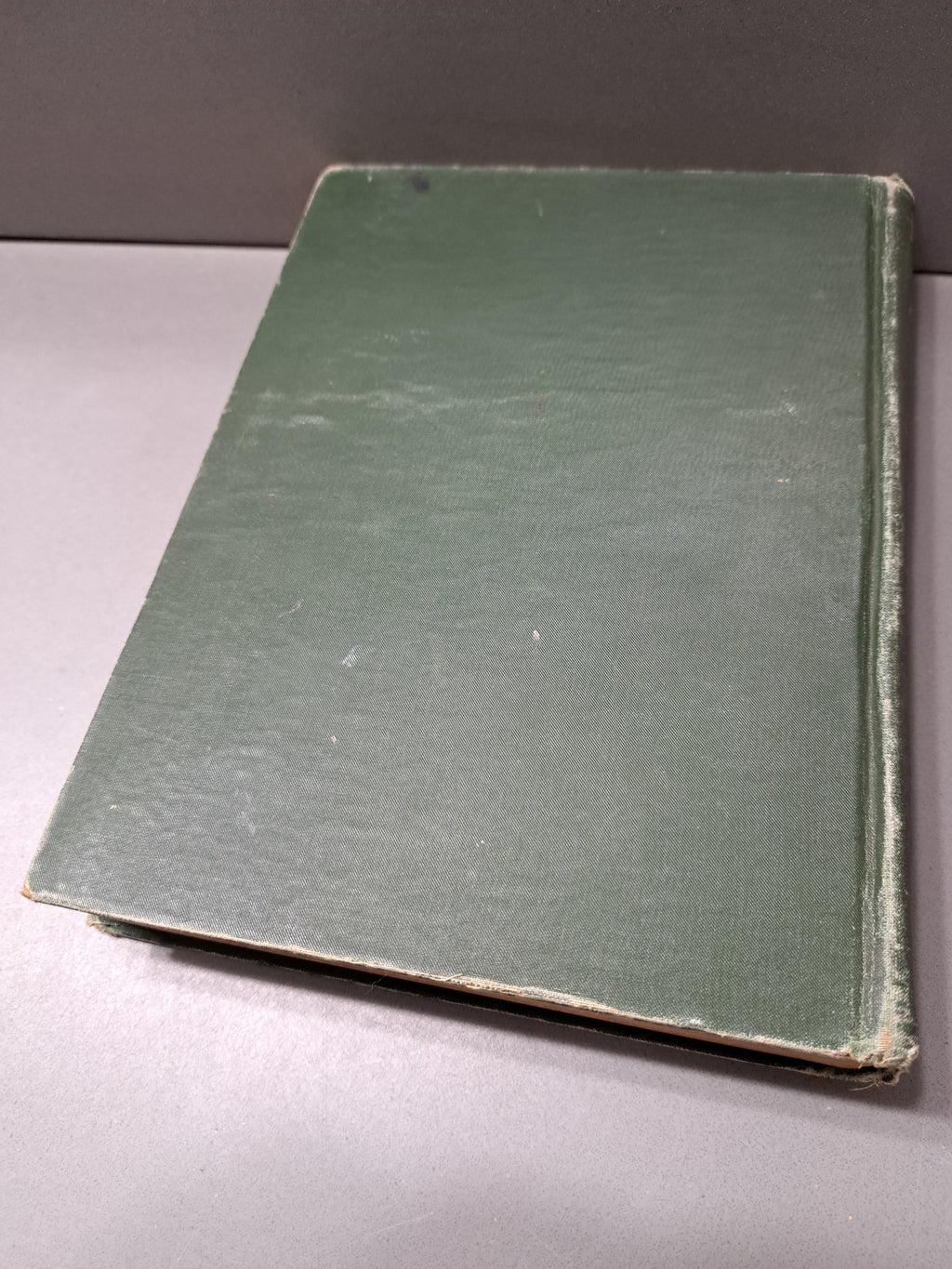 Vintage early 1900s Mother Goose Complete Rhymes and Jingles