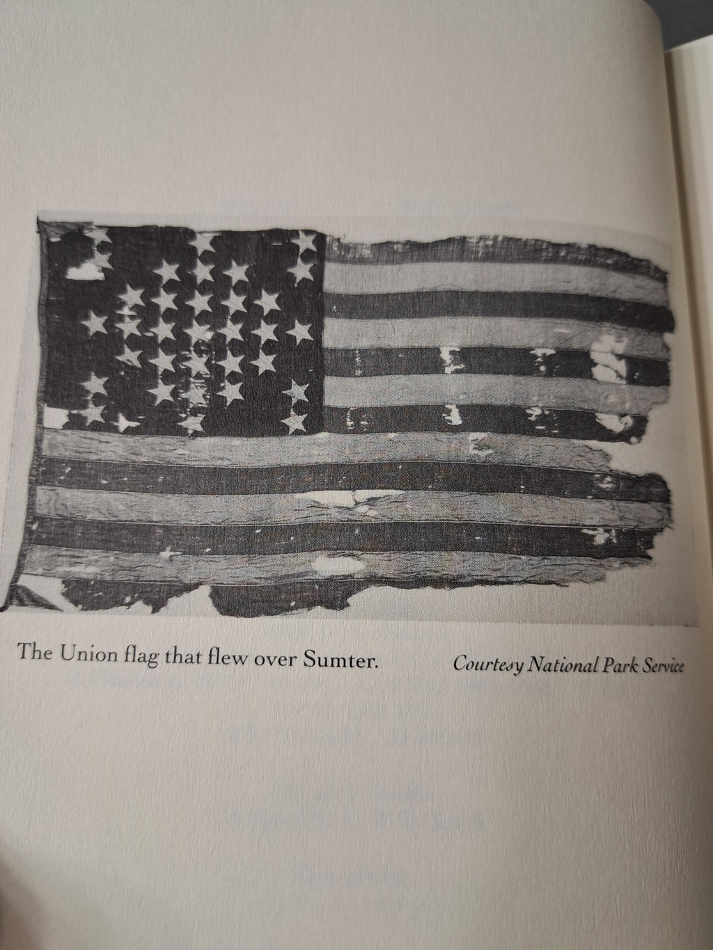 Allegiance: Fort Sumter, Charleston, and the Beginning of the Civil War by David Detzer