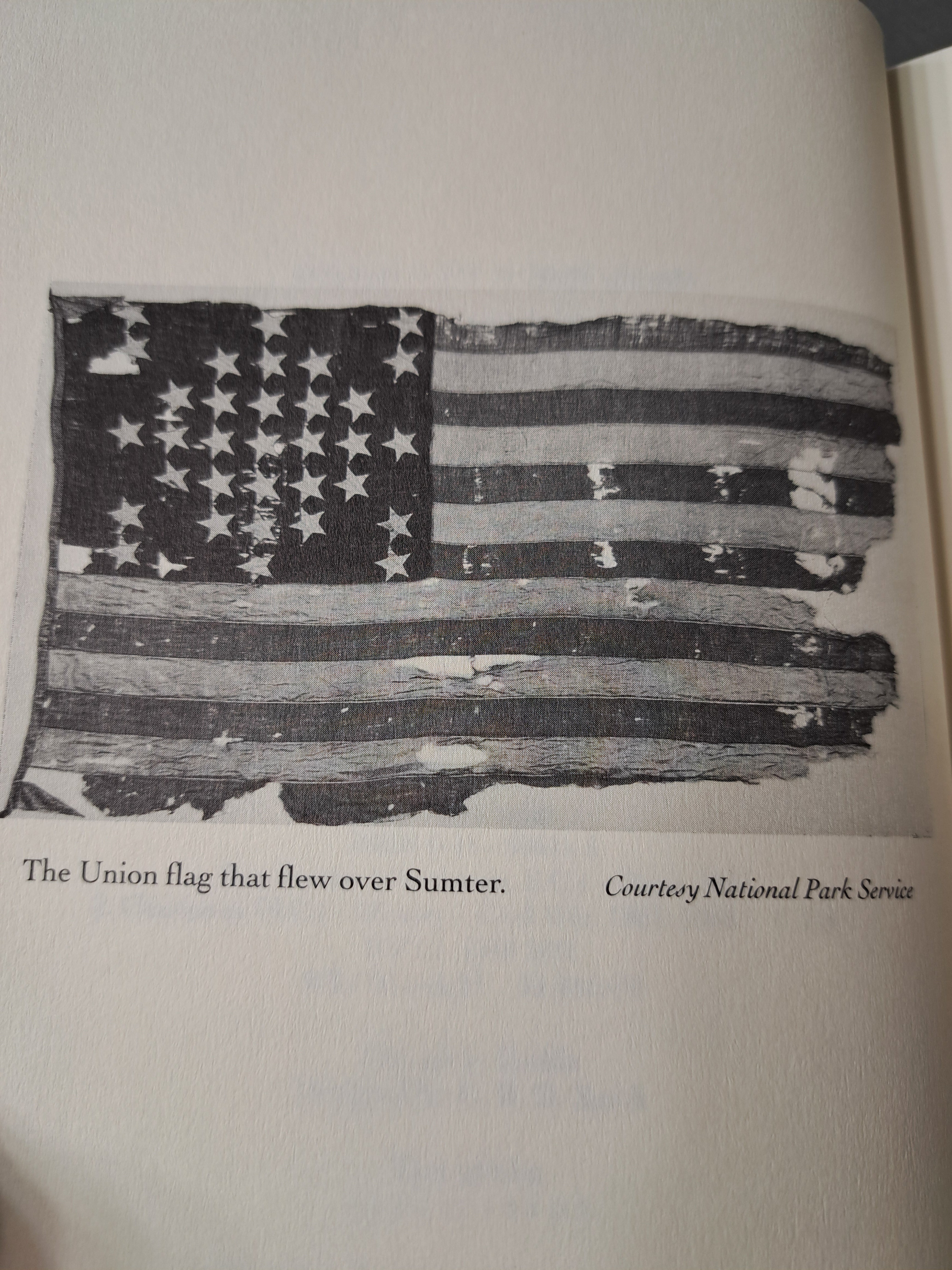 Allegiance: Fort Sumter, Charleston, and the Beginning of the Civil War by David Detzer