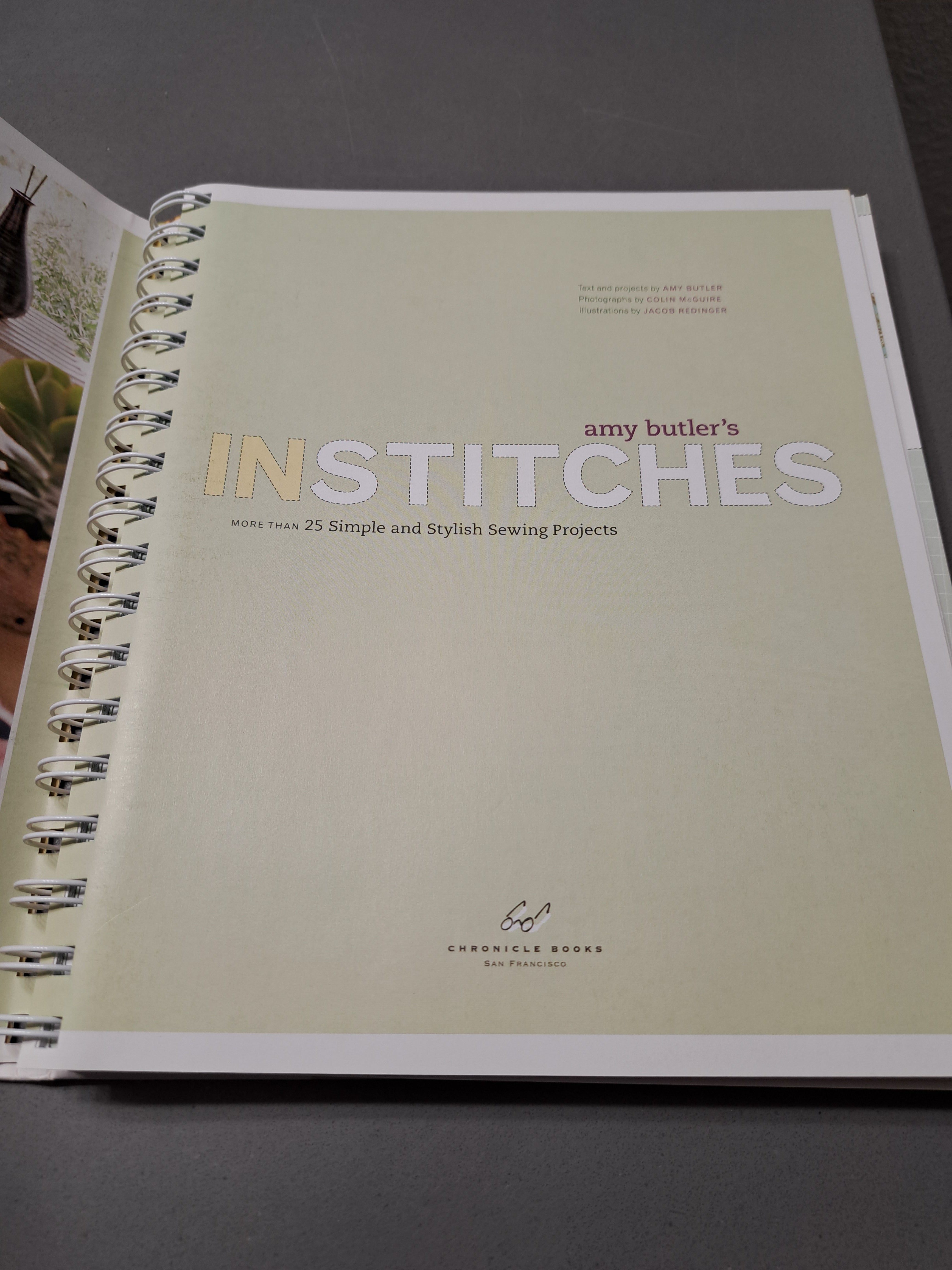 Amy Butler's Institches