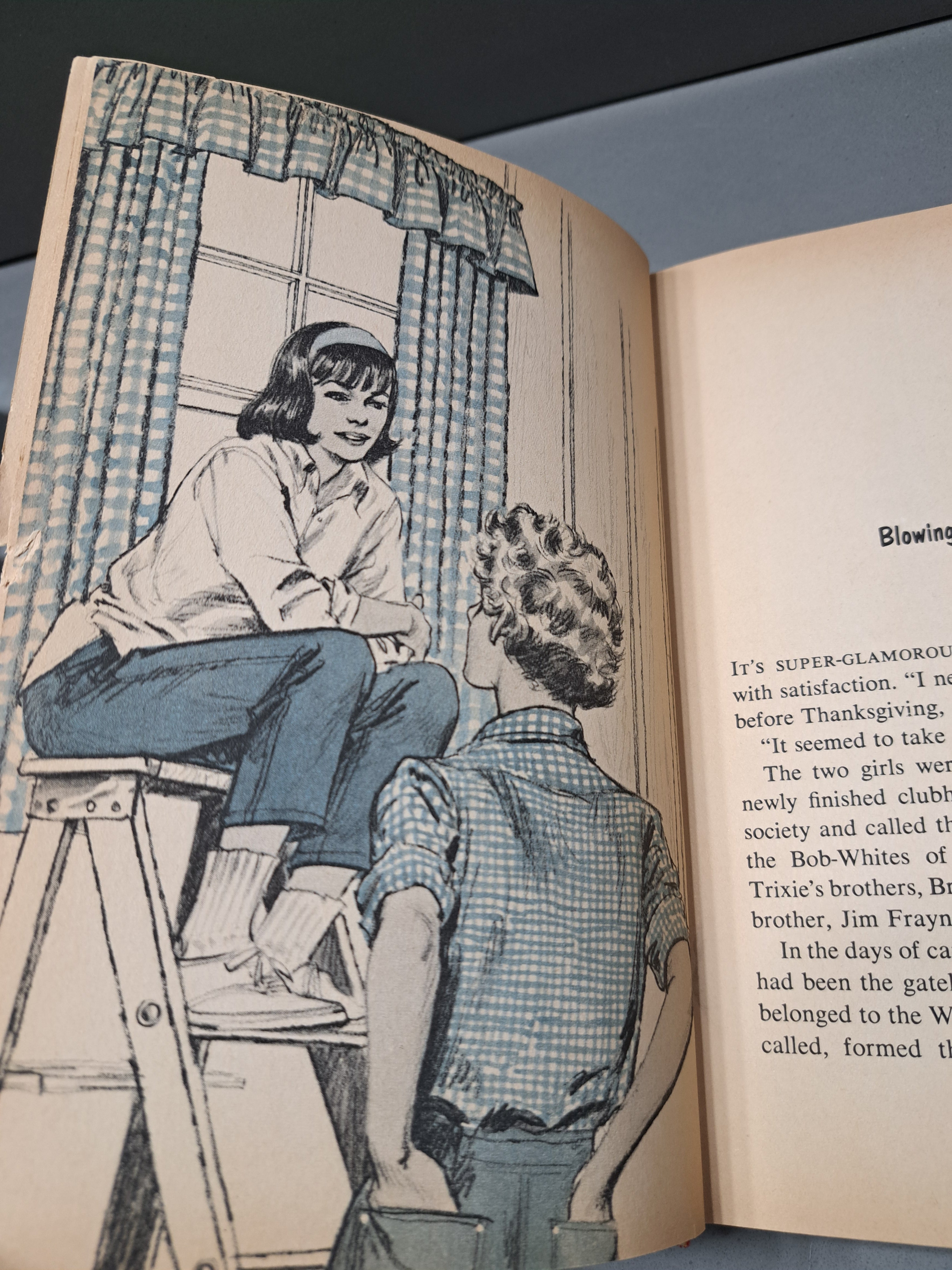 Vintage 1956 Trixie Belden and the Mystery Off Glen Road by Julie Campbell