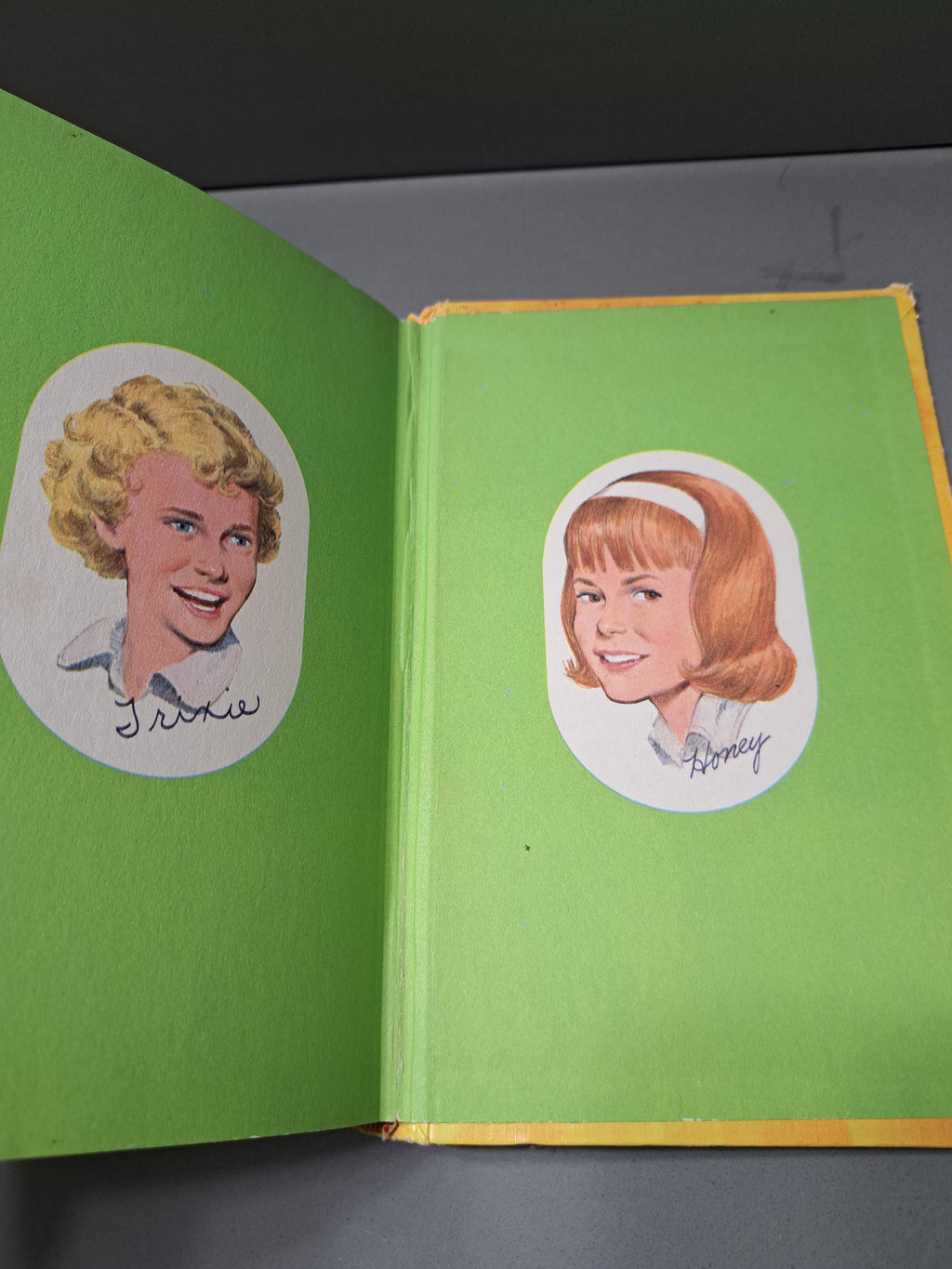 Vintage 1956 Trixie Belden and the Mystery Off Glen Road by Julie Campbell