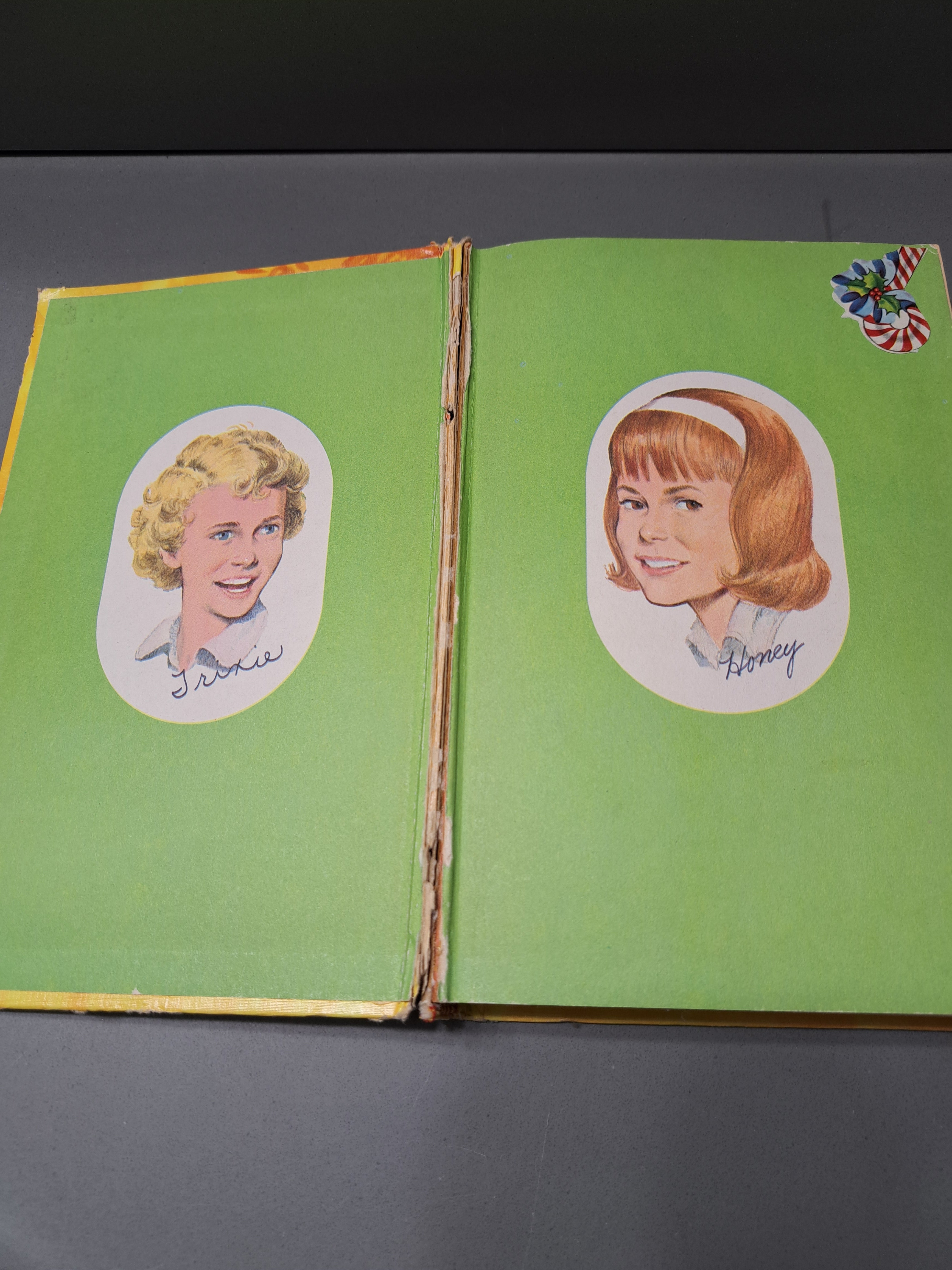Vintage 1956 Trixie Belden and the Mystery Off Glen Road by Julie Campbell