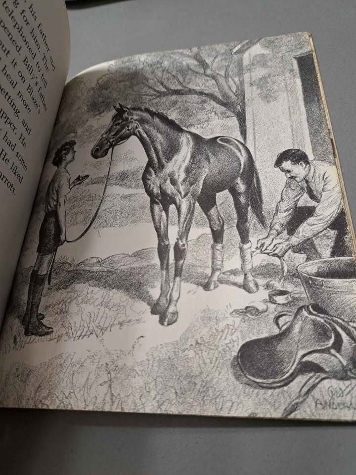 Vintage 1972 edition of Blaze and the Forest Fire