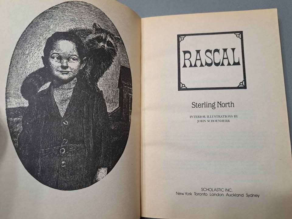 Vintage 1963 first edition of Rascal by Sterling North (paperback)