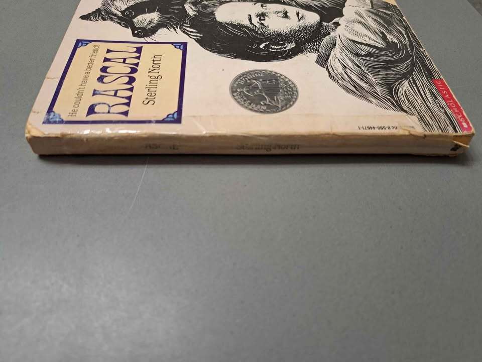 Vintage 1963 first edition of Rascal by Sterling North (paperback)