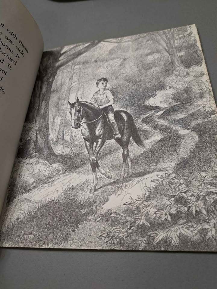 Vintage 1972 edition of Blaze and the Forest Fire